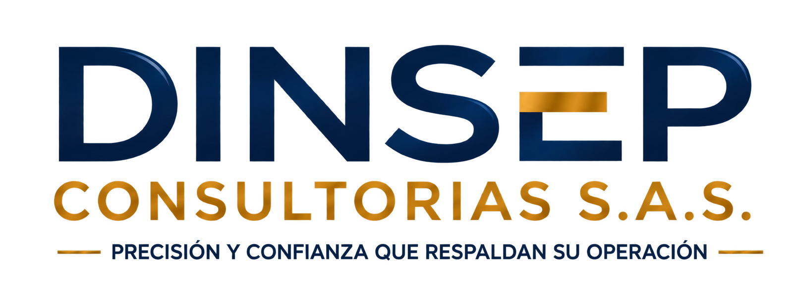 DINSEP CONSULTORIA S.A.S.